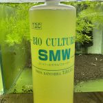 Khoáng vi lượng SMW cao cấp chuyên dụng cho tép cảnh nhập khẩu từ Nhật Bản 2 Khoáng vi lượng SMW 1000ml